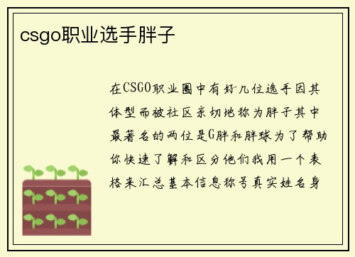 csgo职业选手胖子